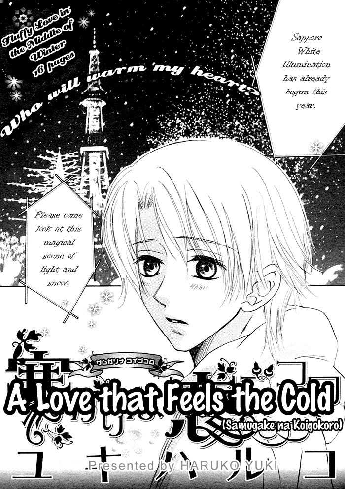 A Love That Feels The Cold 1 1