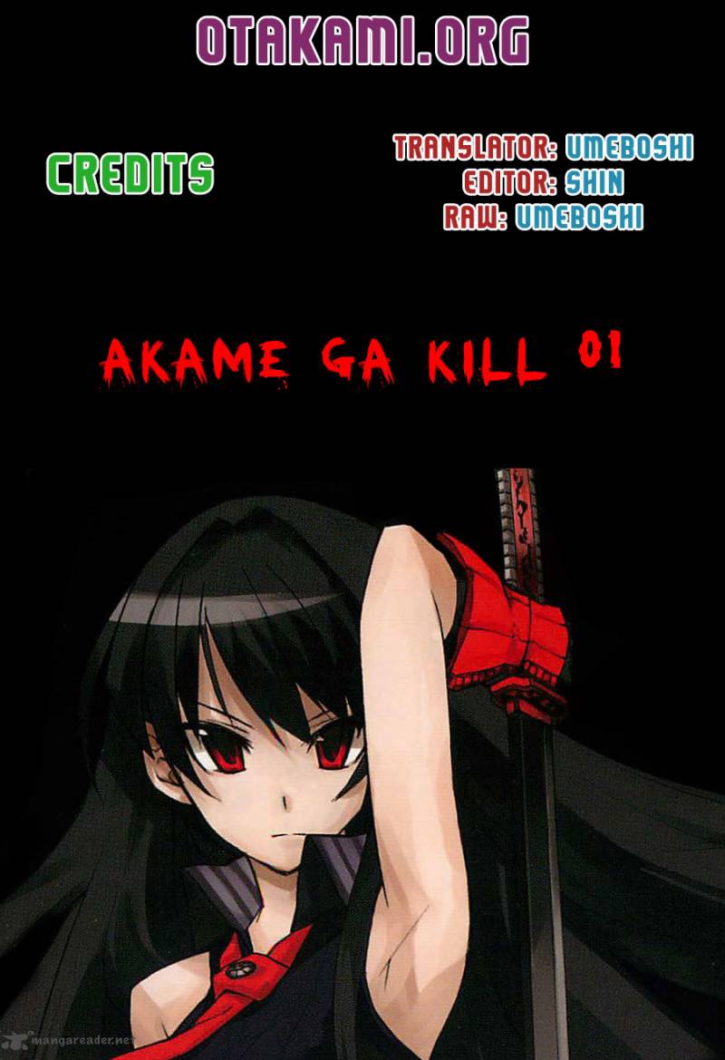 Akame Ga Kiru 1 1