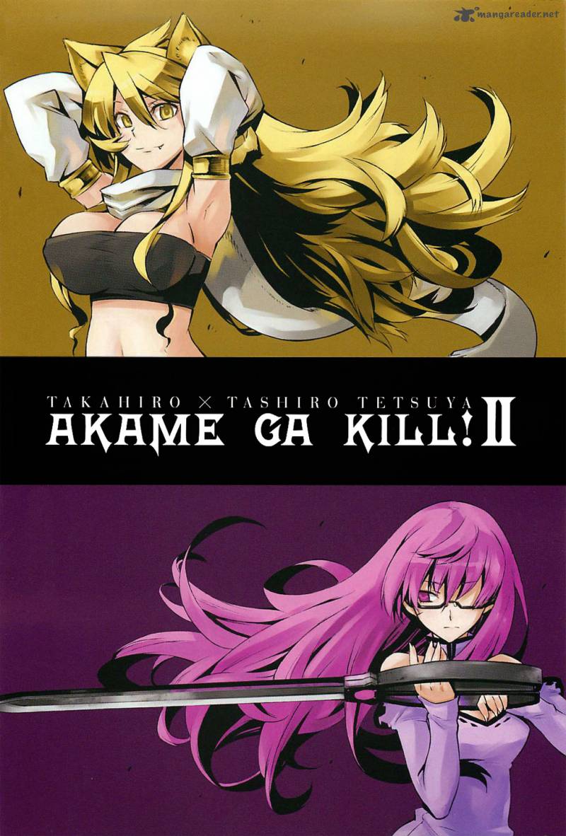 Akame Ga Kiru 5 4