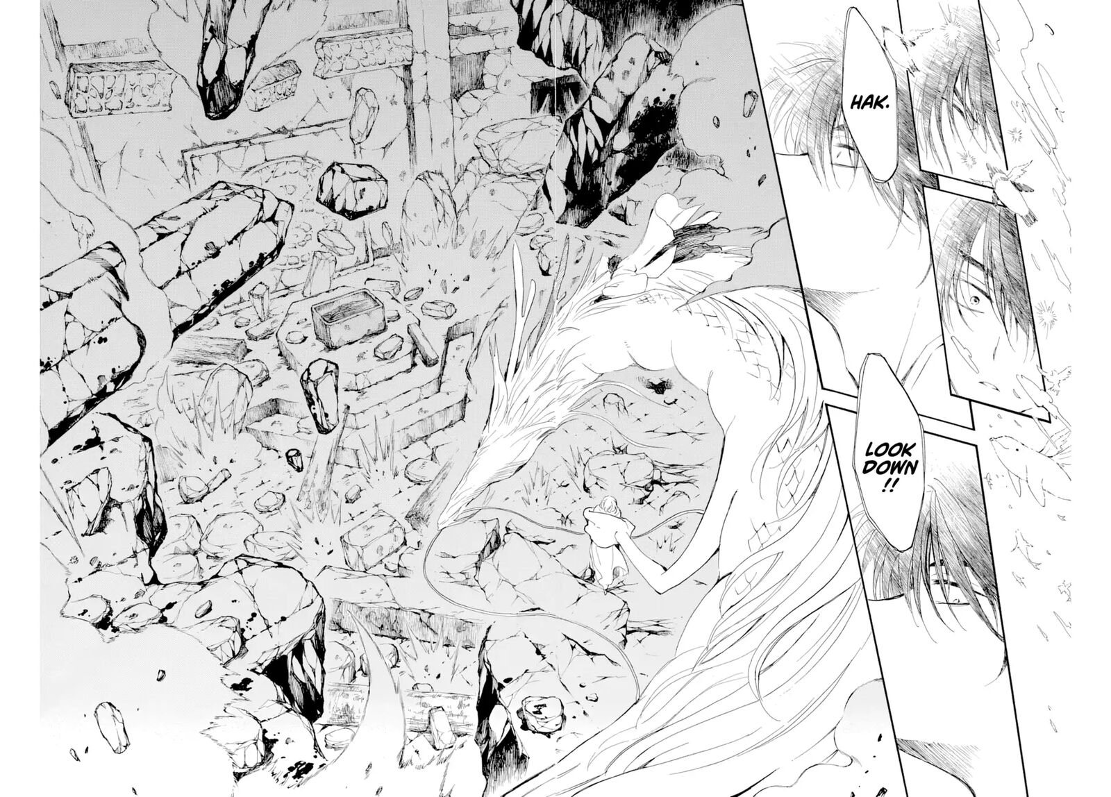 Akatsuki No Yona 273 27