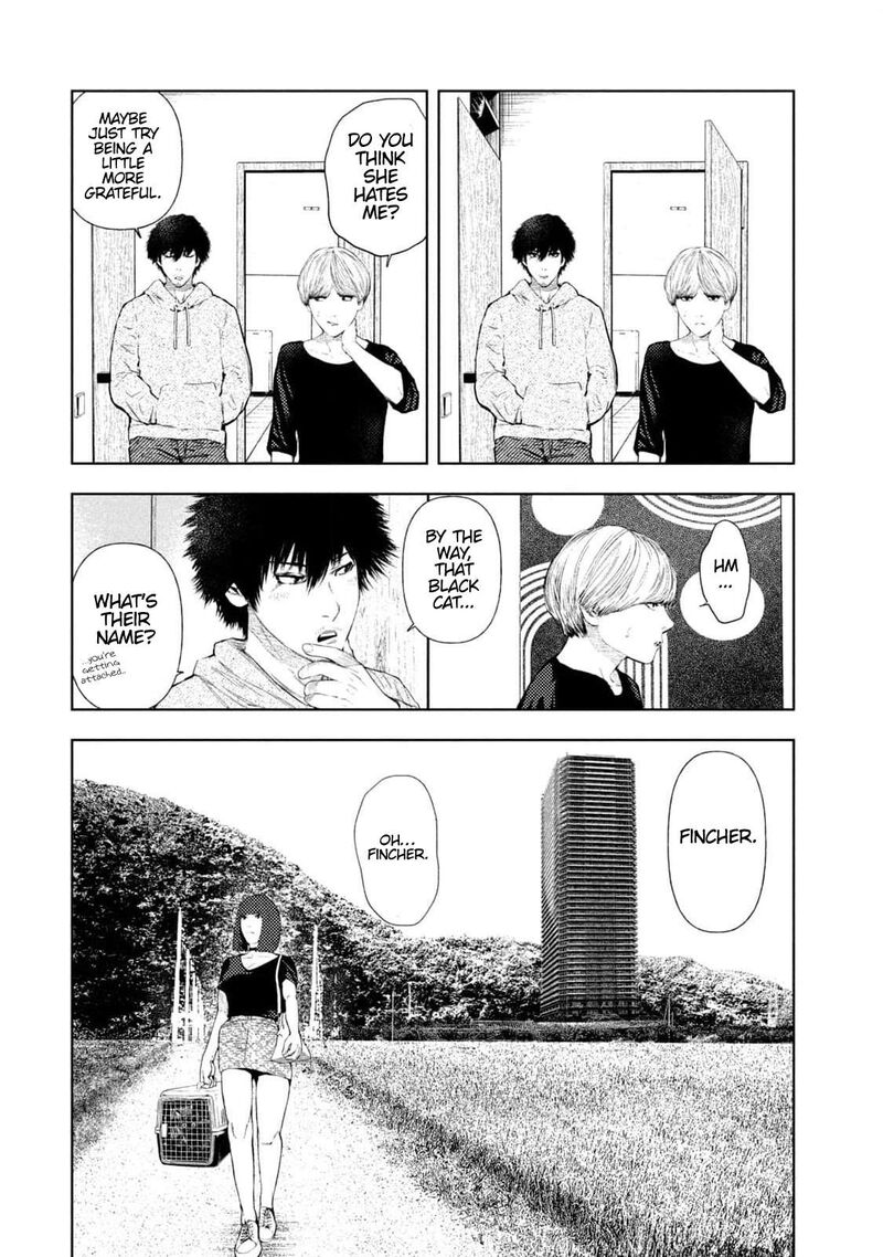 Amateur Vigilante 13 16