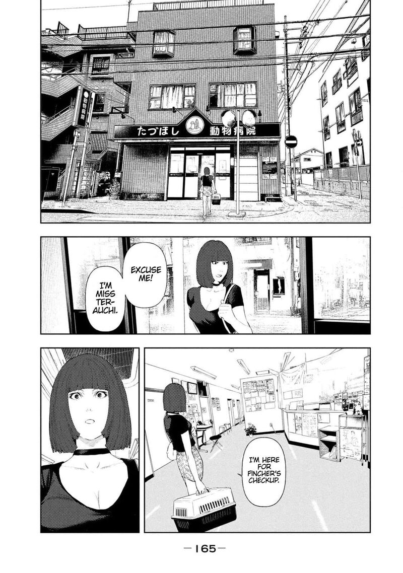 Amateur Vigilante 13 17