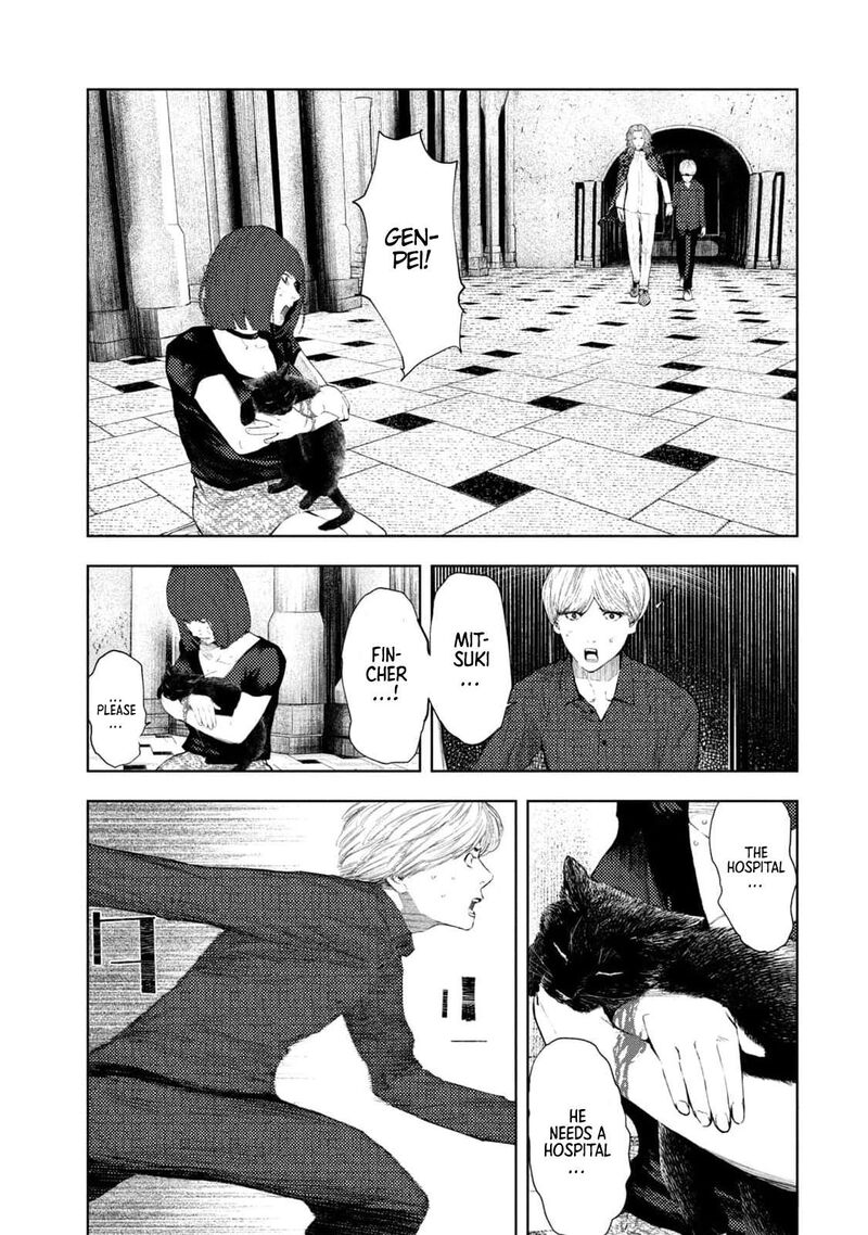 Amateur Vigilante 18 7