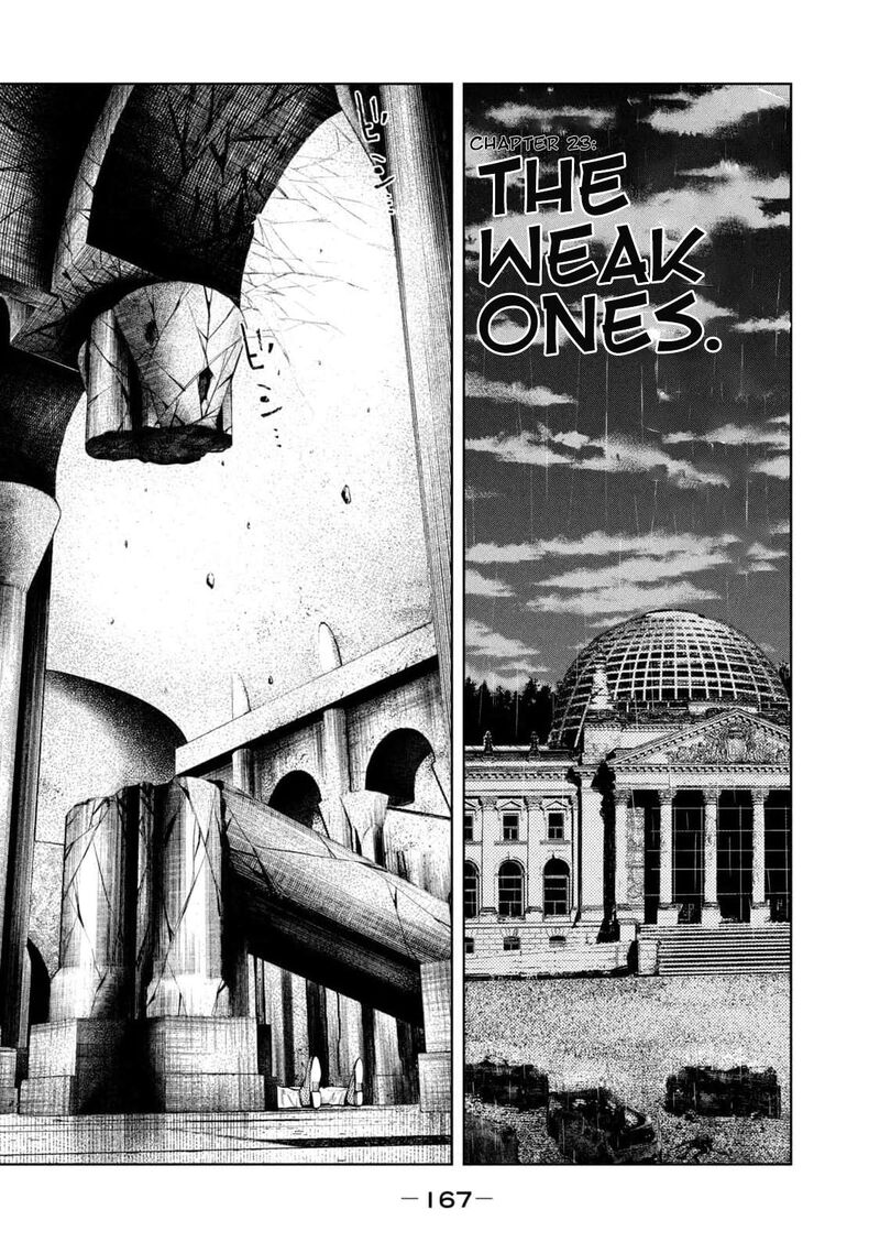 Amateur Vigilante 23 1