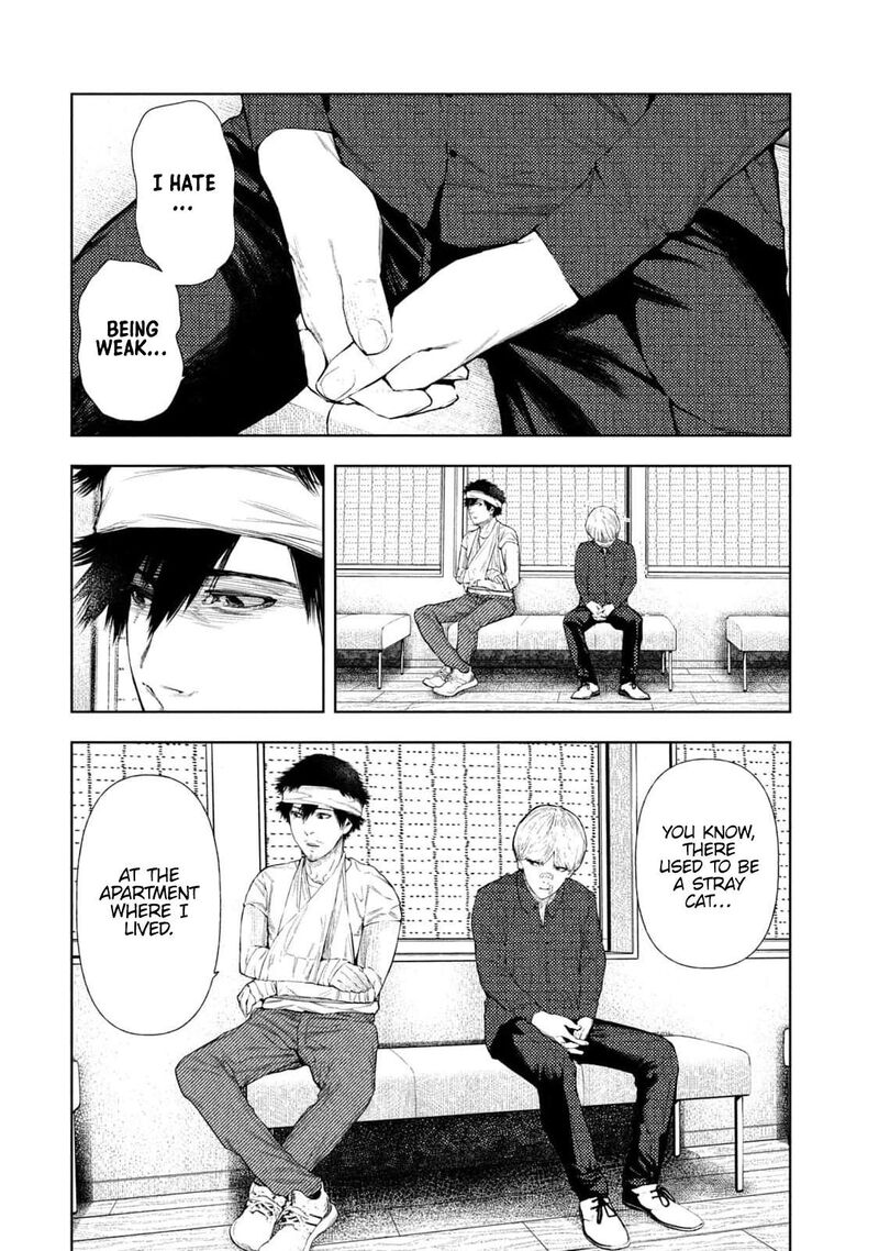 Amateur Vigilante 23 17