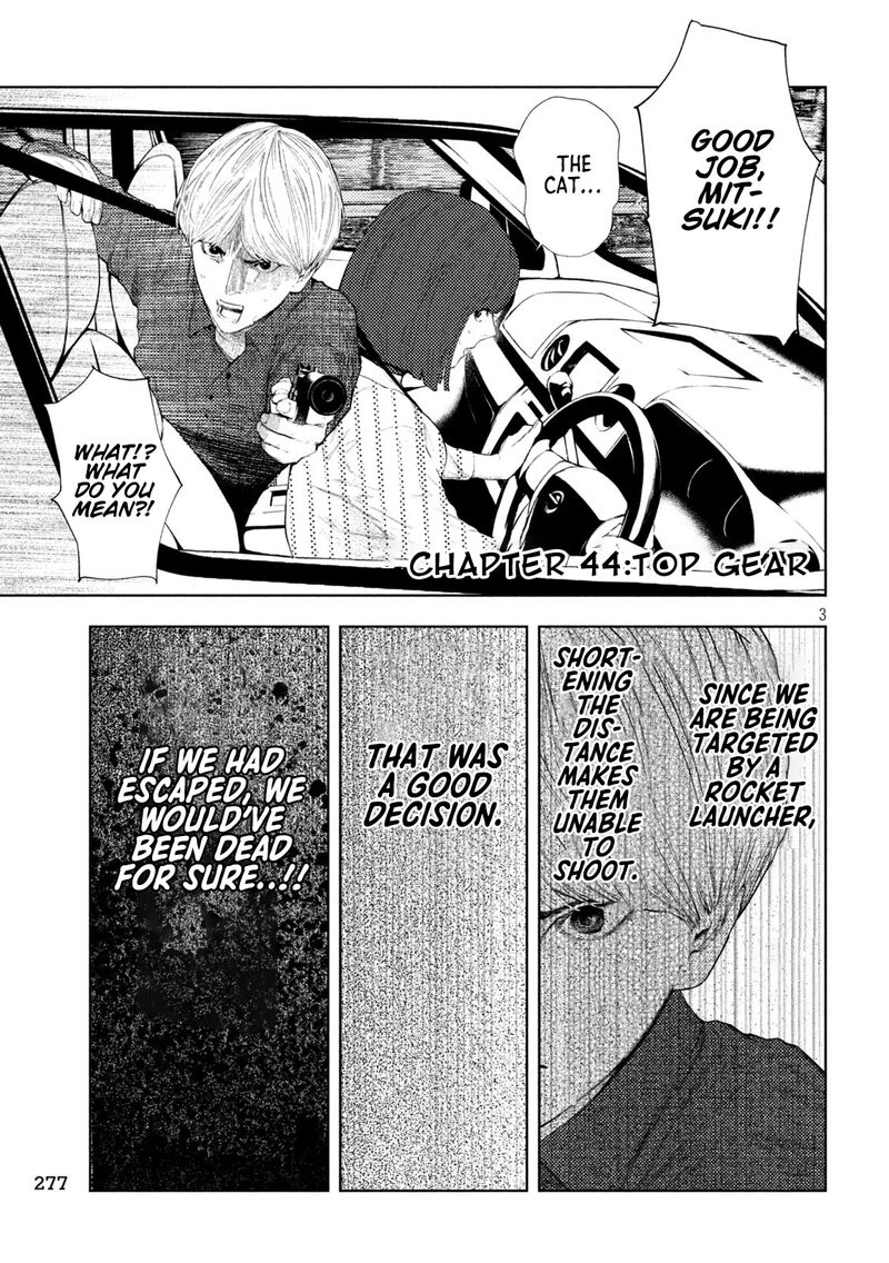 Amateur Vigilante 44 3