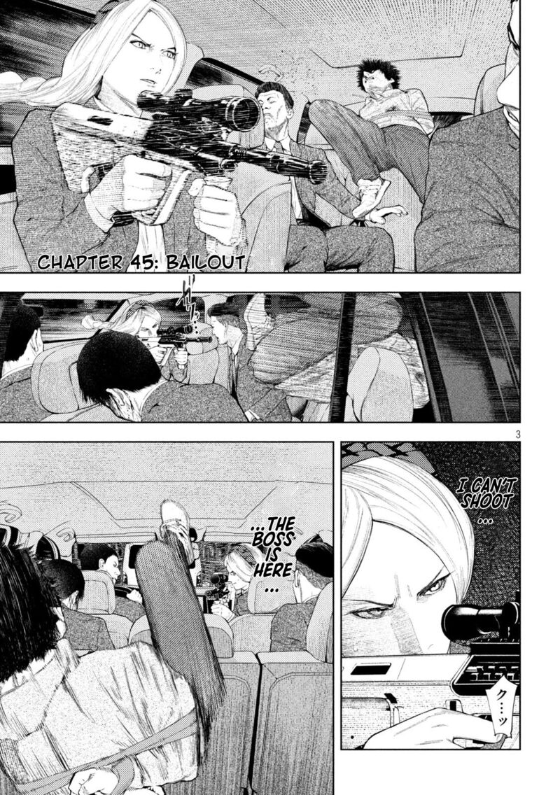 Amateur Vigilante 45 3