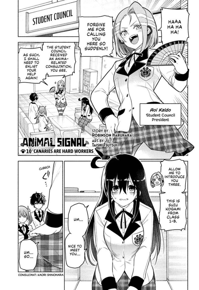 Animal Signal 10 1