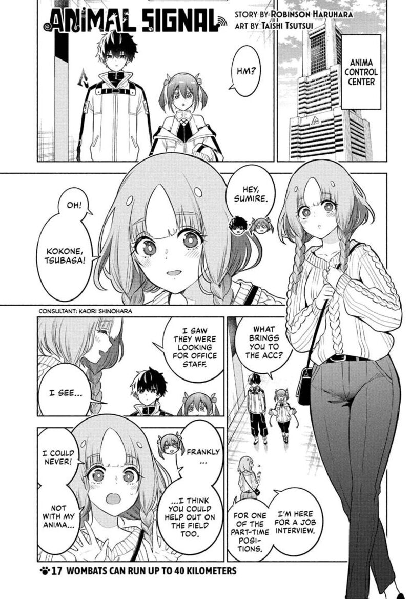 Animal Signal 17 1