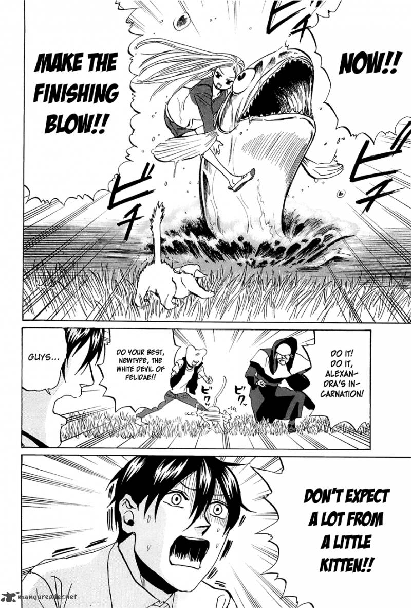Arakawa Under The Bridge 230 4