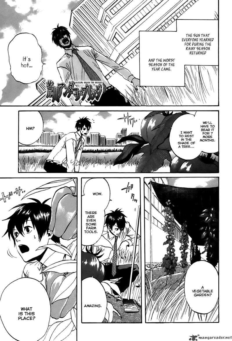 Arakawa Under The Bridge 36 1