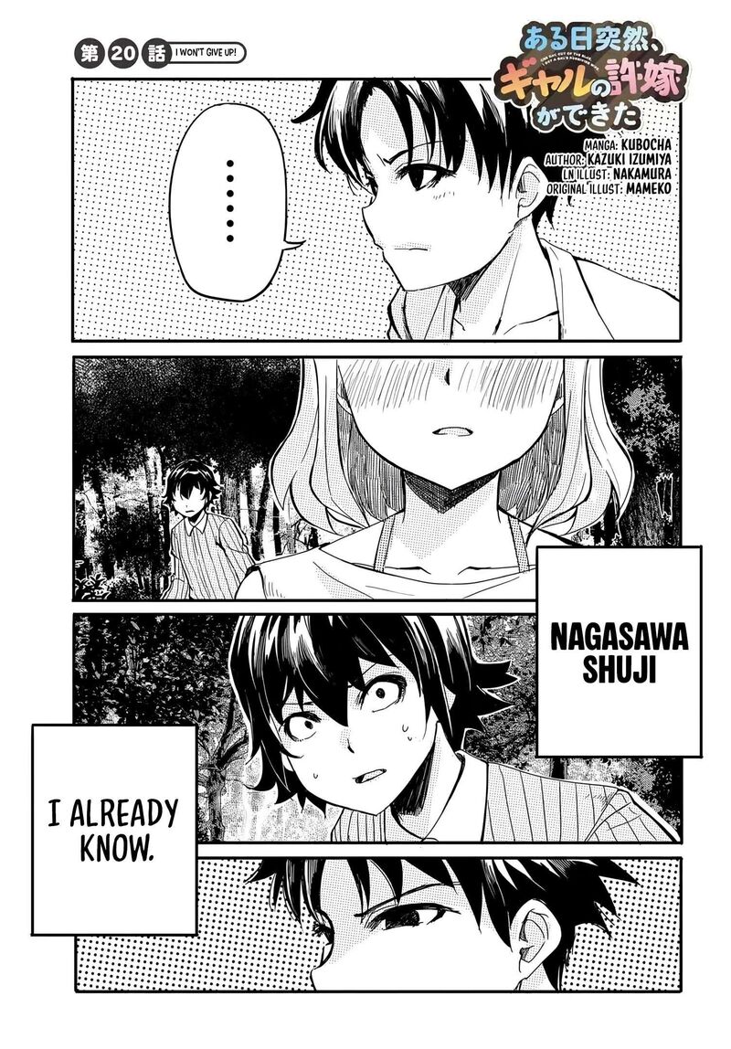 Aru Hi Totsuzen Gal No IInazuke Ga Dekita 20 2