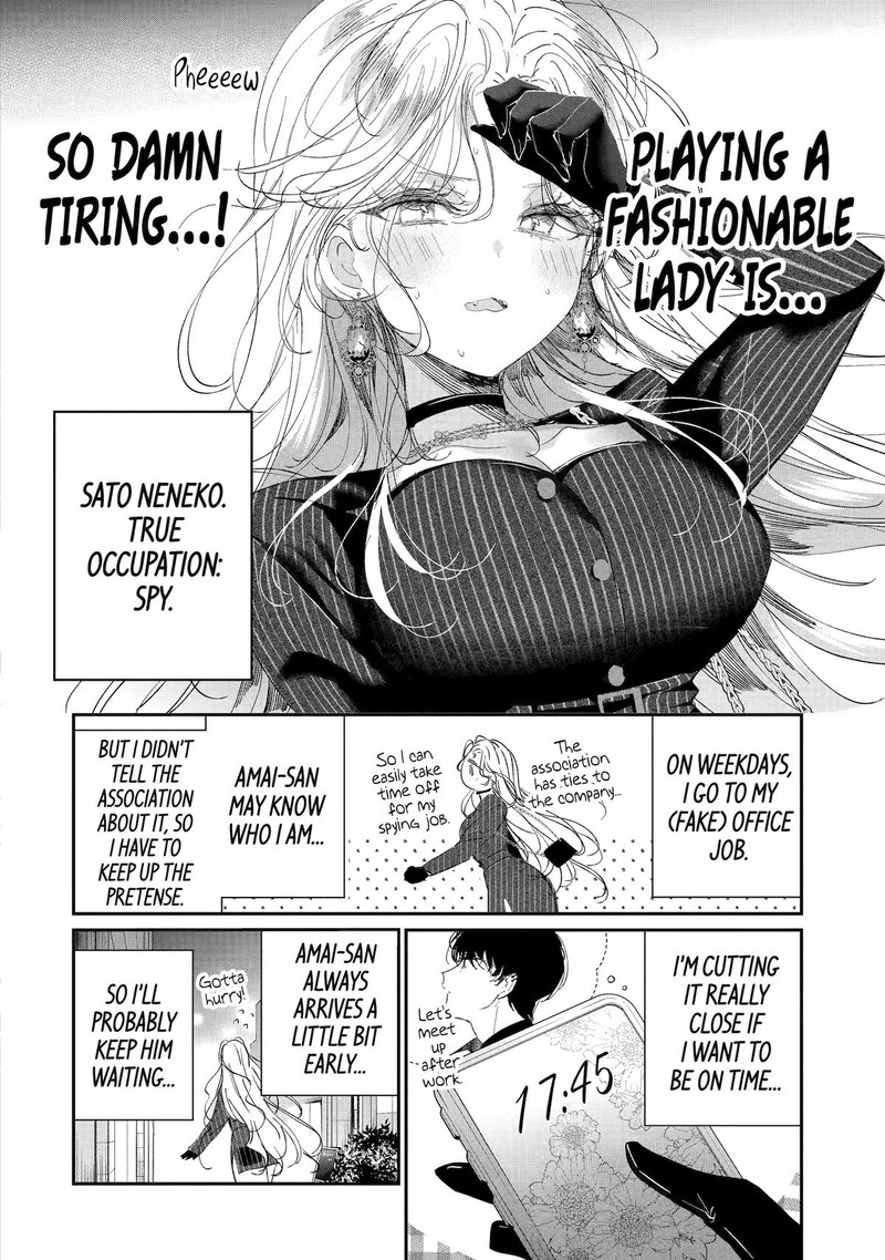 Assassin Cinderella 11 4