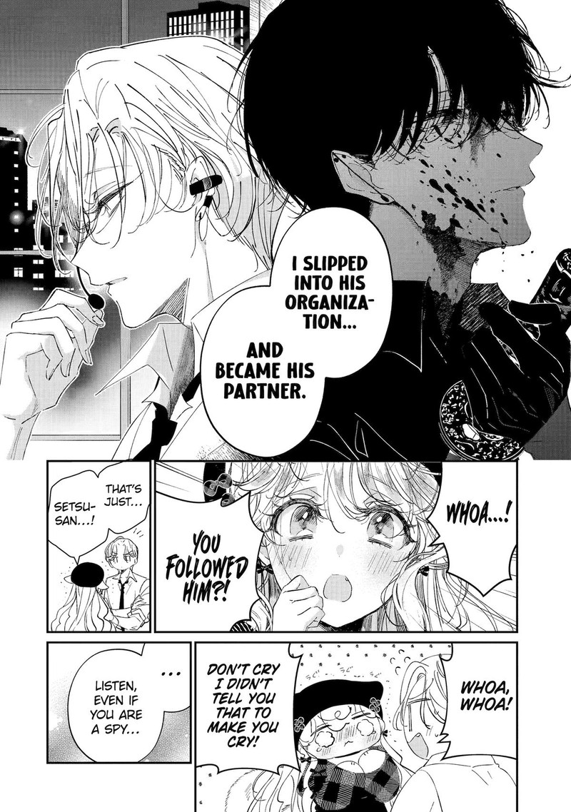 Assassin Cinderella 12 14