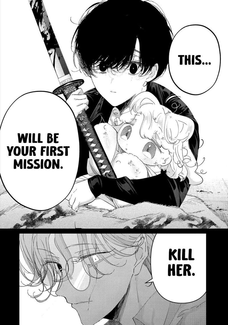 Assassin Cinderella 13 20