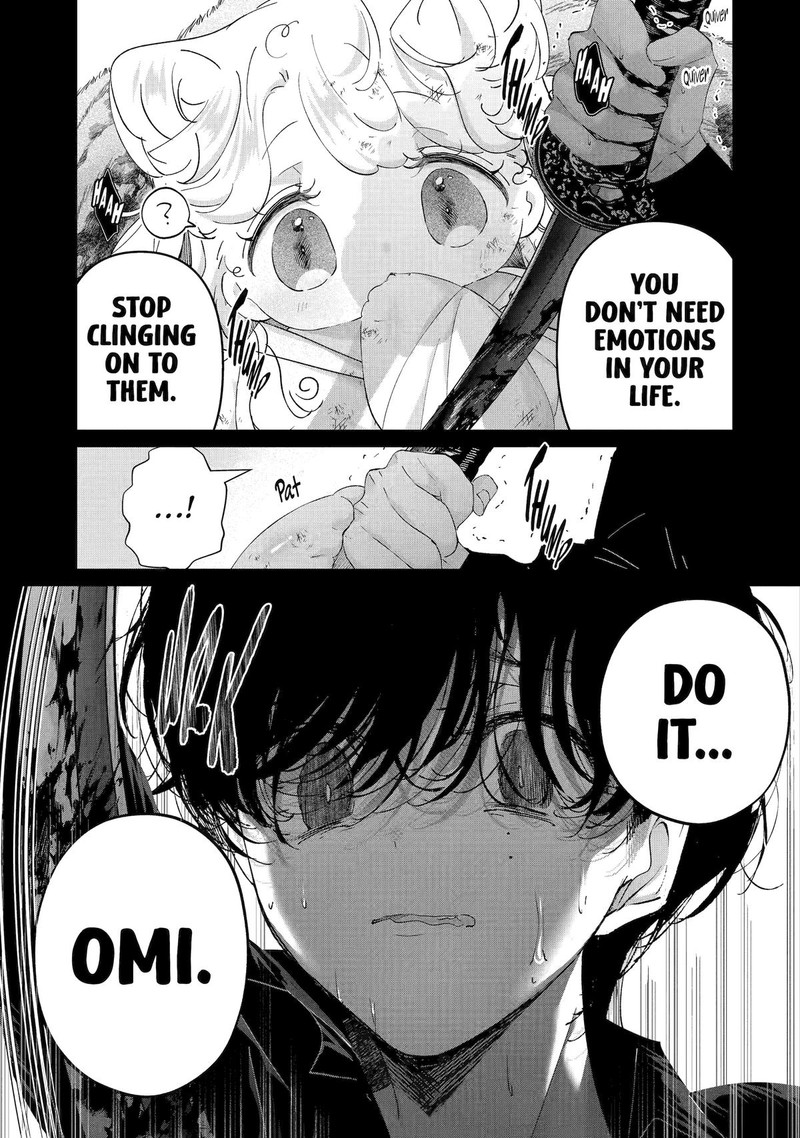 Assassin Cinderella 13 23