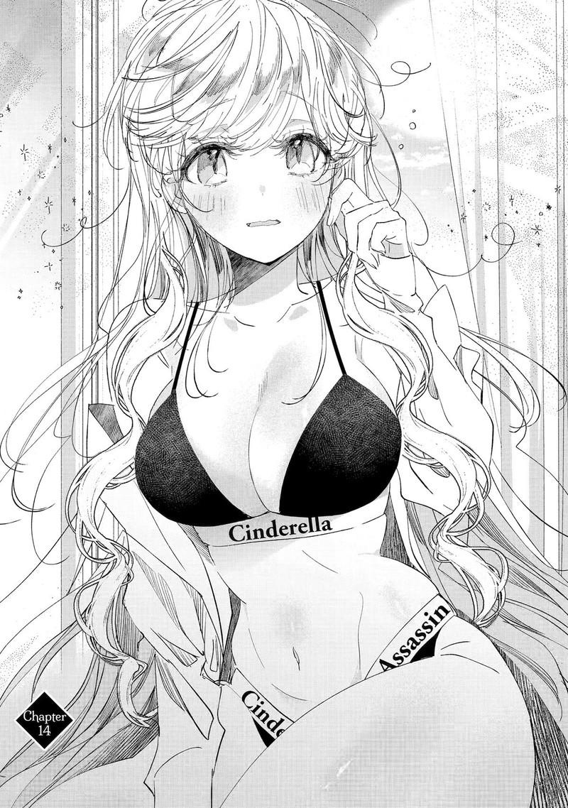 Assassin Cinderella 14 3