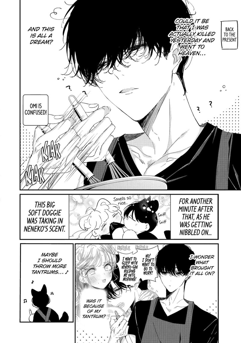 Assassin Cinderella 15 10