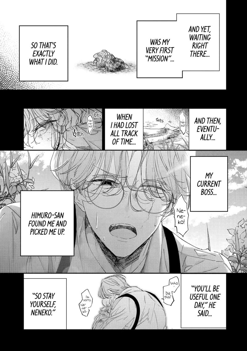 Assassin Cinderella 16 33