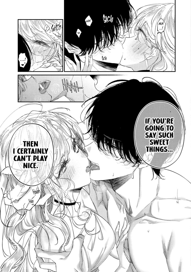 Assassin Cinderella 16 41