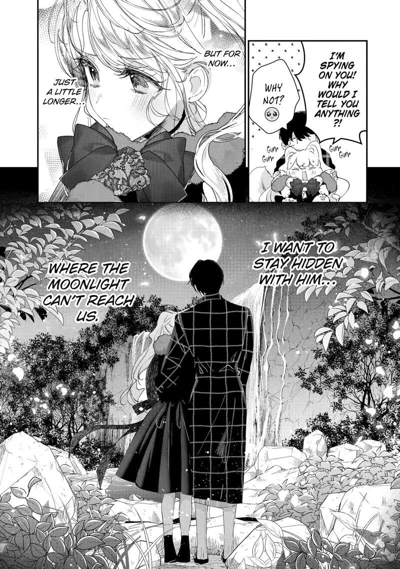 Assassin Cinderella 18e 3