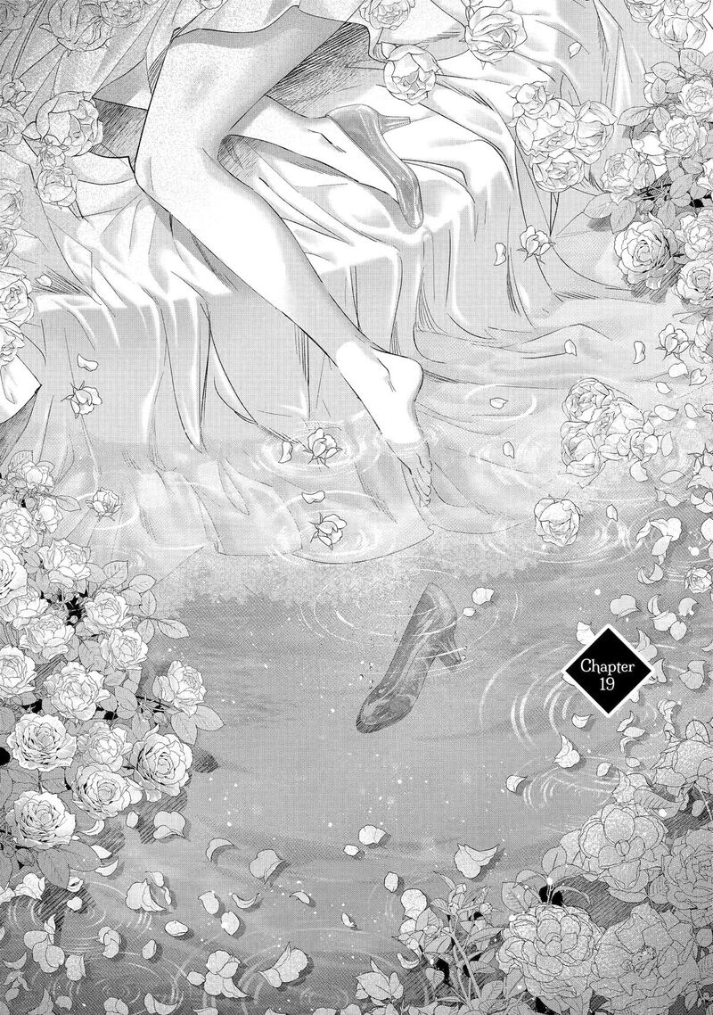 Assassin Cinderella 19 1