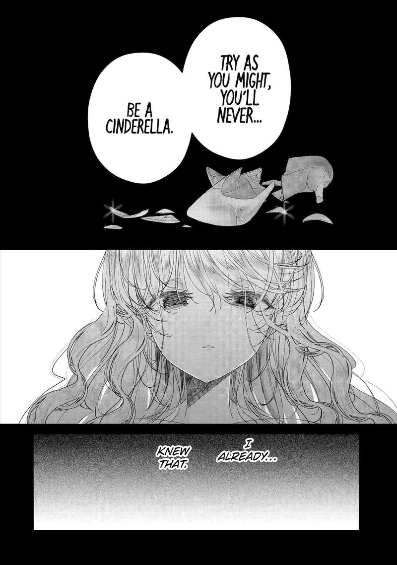 Assassin Cinderella 19 36