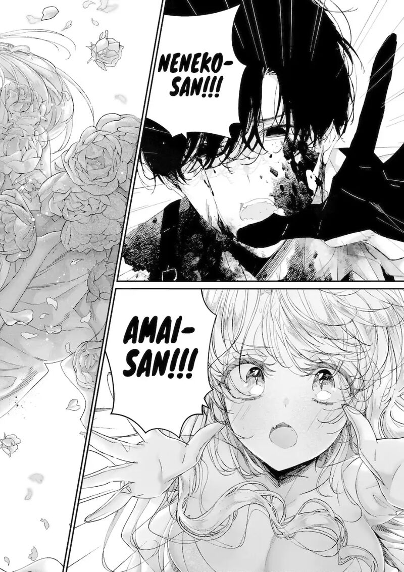 Assassin Cinderella 20b 8