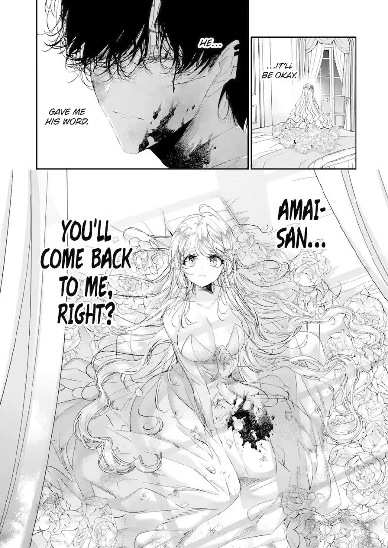 Assassin Cinderella 21a 11