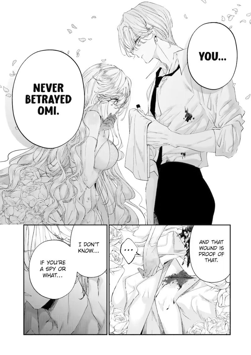 Assassin Cinderella 21a 7