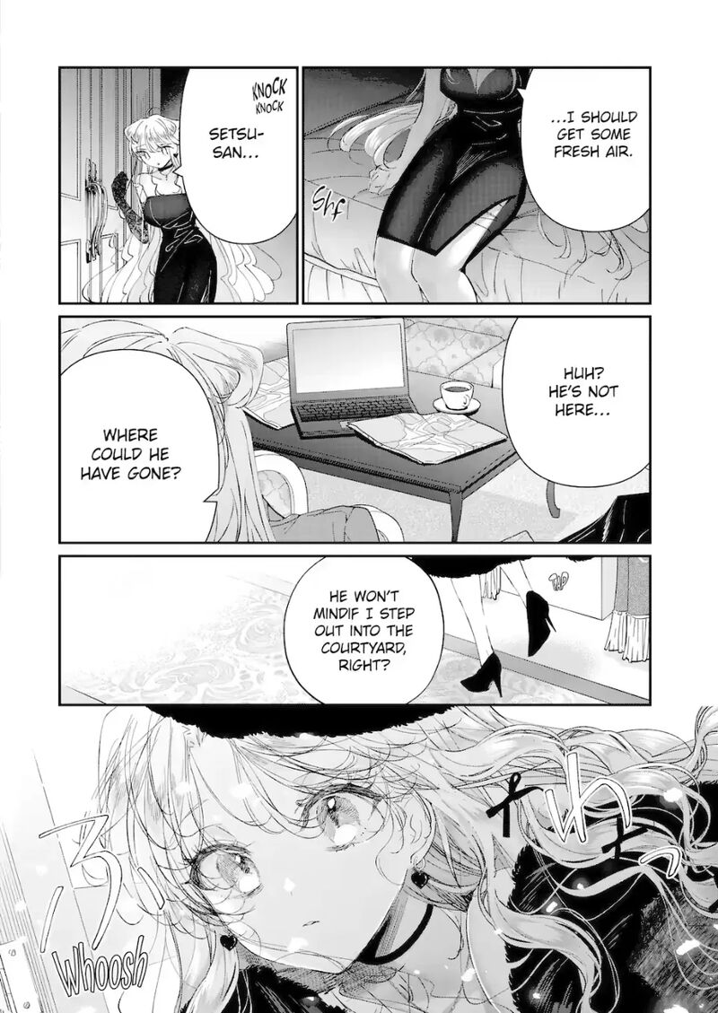 Assassin Cinderella 21c 2