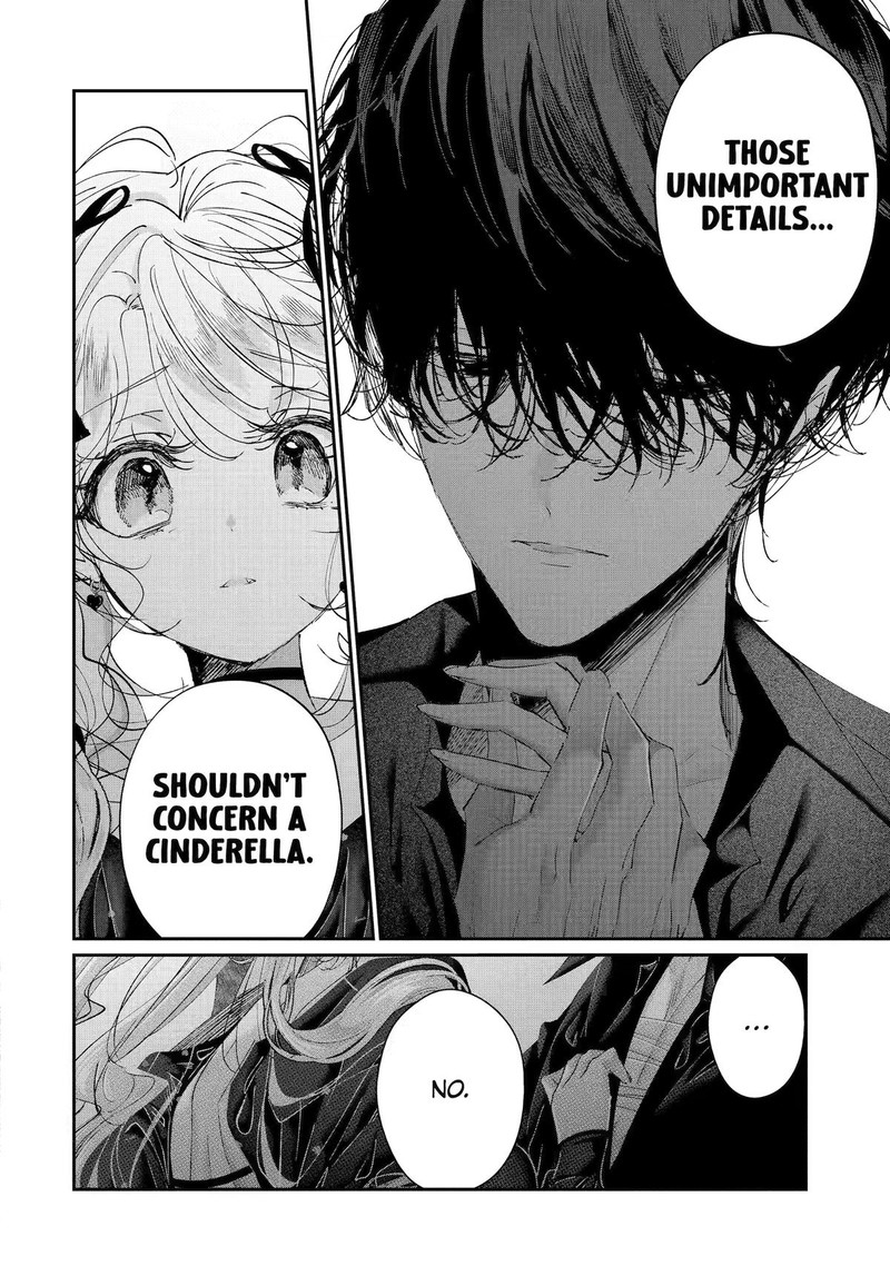 Assassin Cinderella 22 18