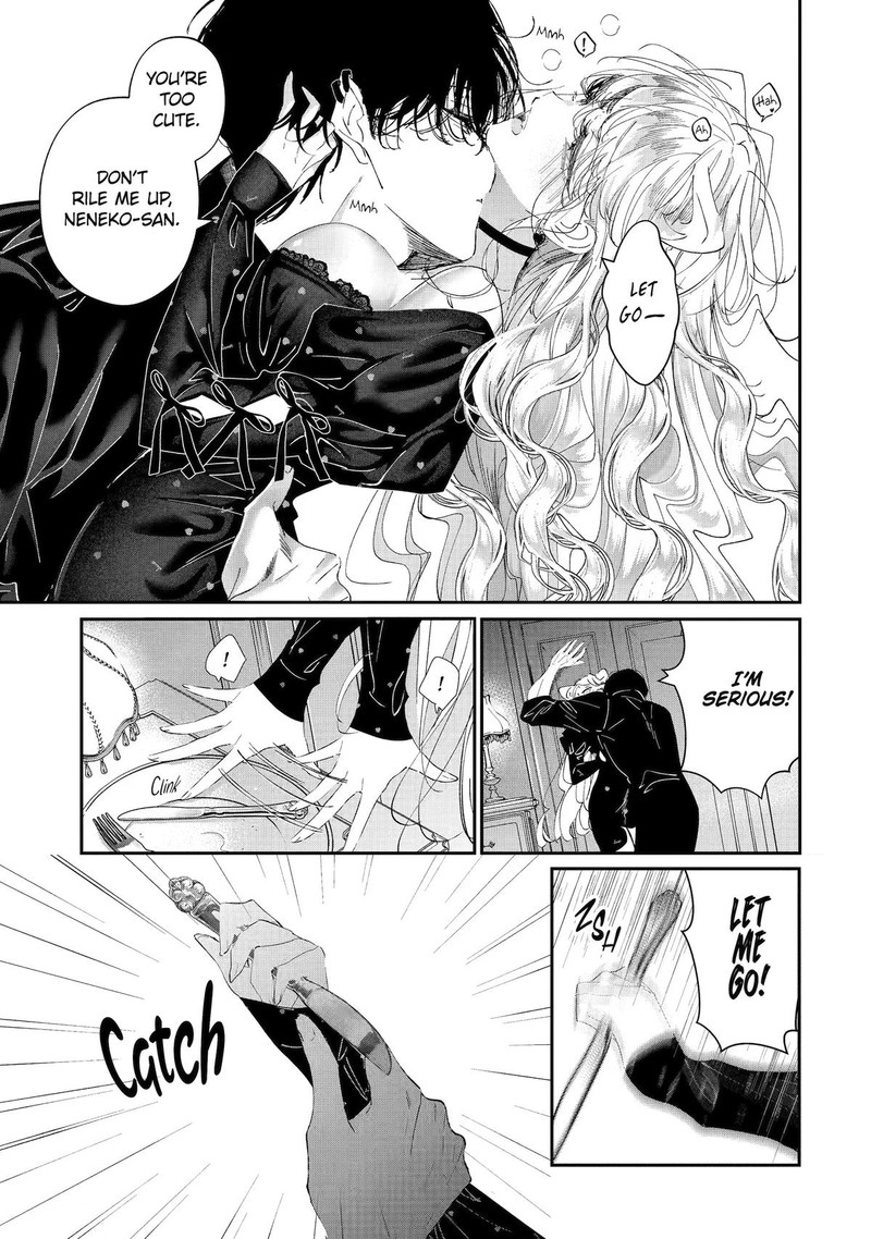 Assassin Cinderella 22 35