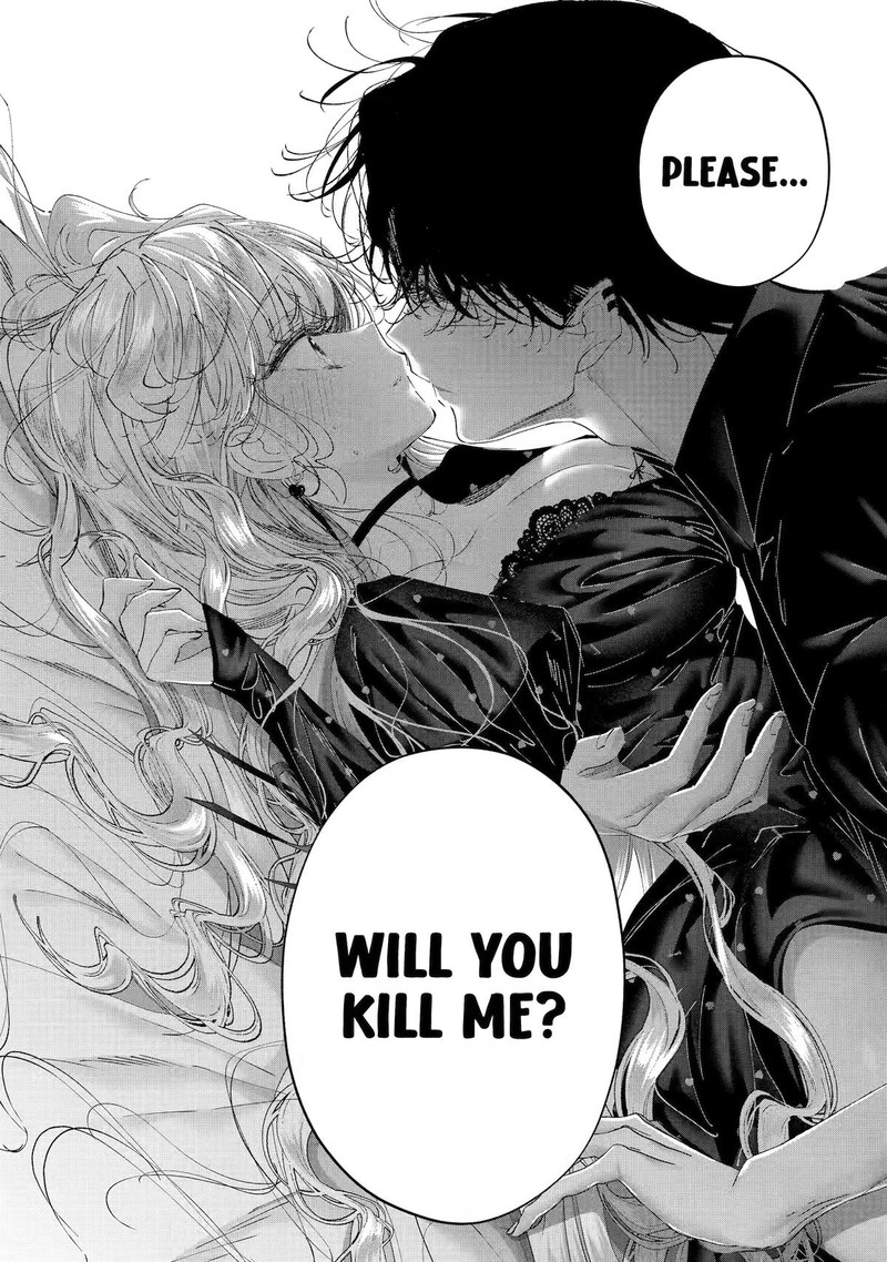 Assassin Cinderella 23 15