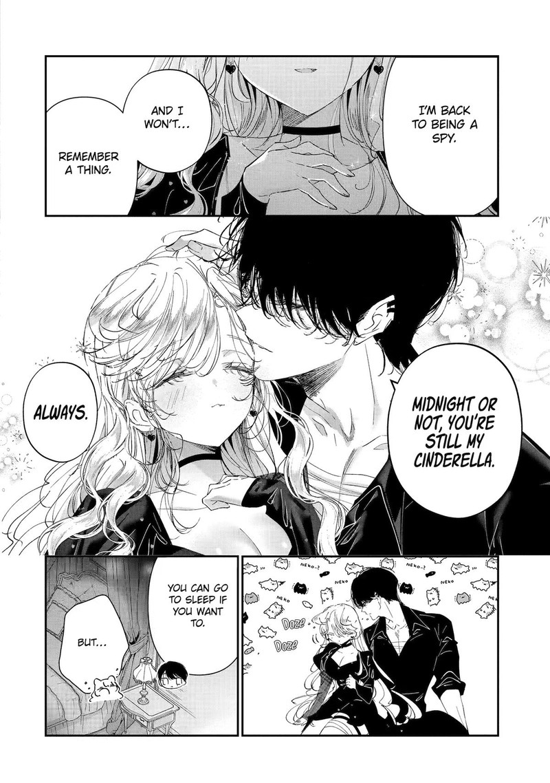 Assassin Cinderella 23 27