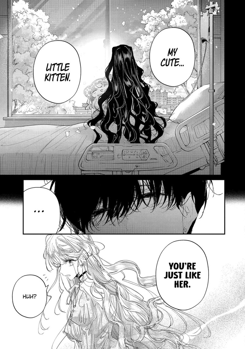 Assassin Cinderella 24 19