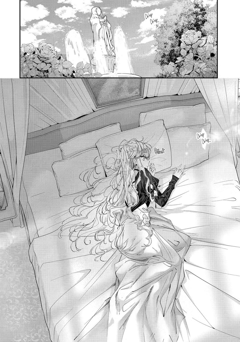 Assassin Cinderella 24 2