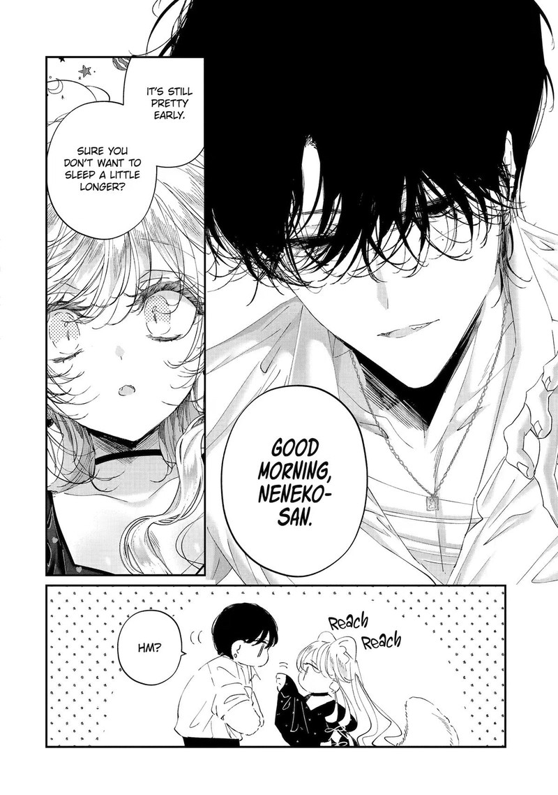 Assassin Cinderella 24 4