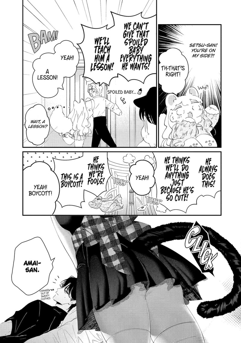 Assassin Cinderella 25 15