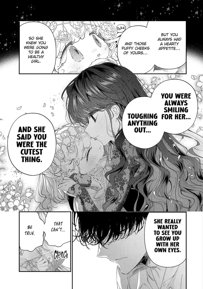 Assassin Cinderella 25 3