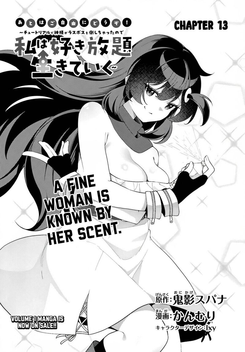 Ato Wa Gojiyuu Ni Douzo Tutorial De Kamisama Ga Last Boss Taoshichatta Node Watashi Wa Suki Houdai Ikiteiku 13 4
