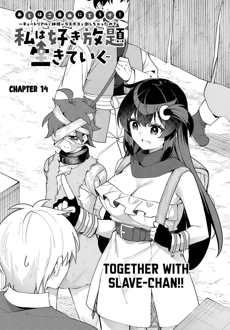 Ato Wa Gojiyuu Ni Douzo Tutorial De Kamisama Ga Last Boss Taoshichatta Node Watashi Wa Suki Houdai Ikiteiku 14 2