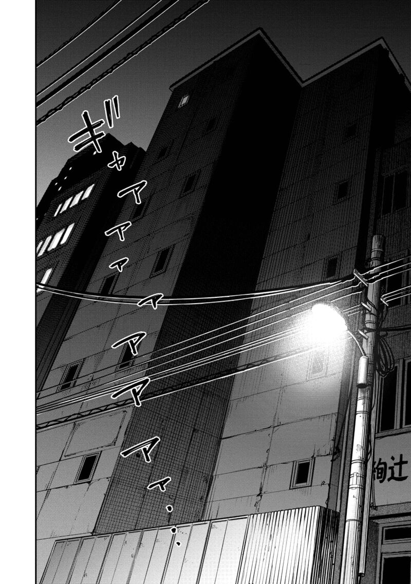 Bakuchi Gui 13 17