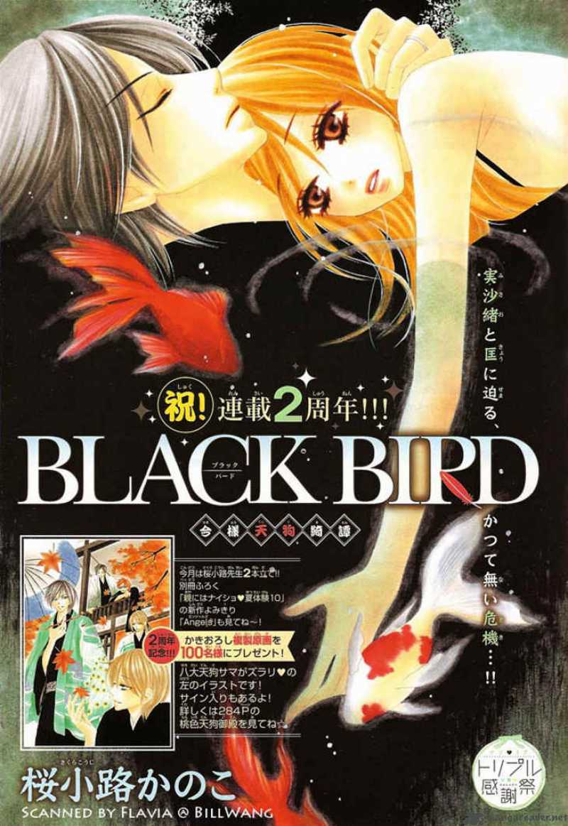 Black Bird 24 1