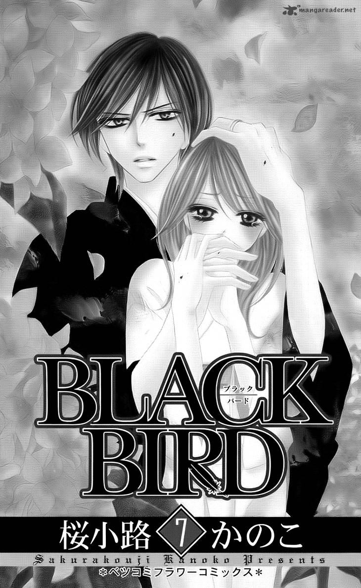 Black Bird 26 3