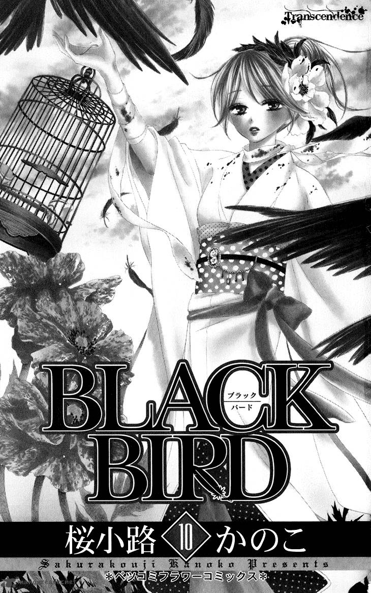 Black Bird 36 1
