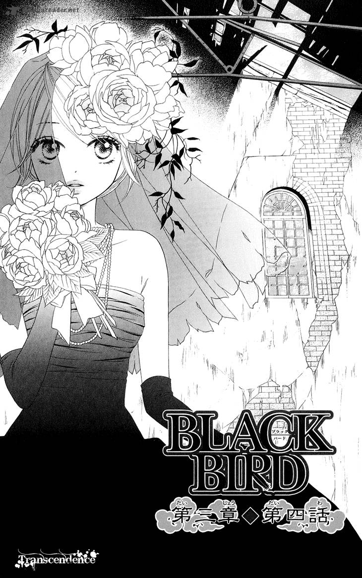 Black Bird 36 5