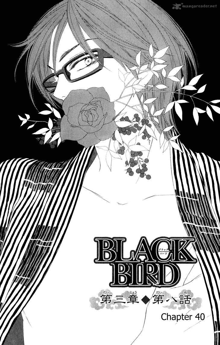 Black Bird 40 10