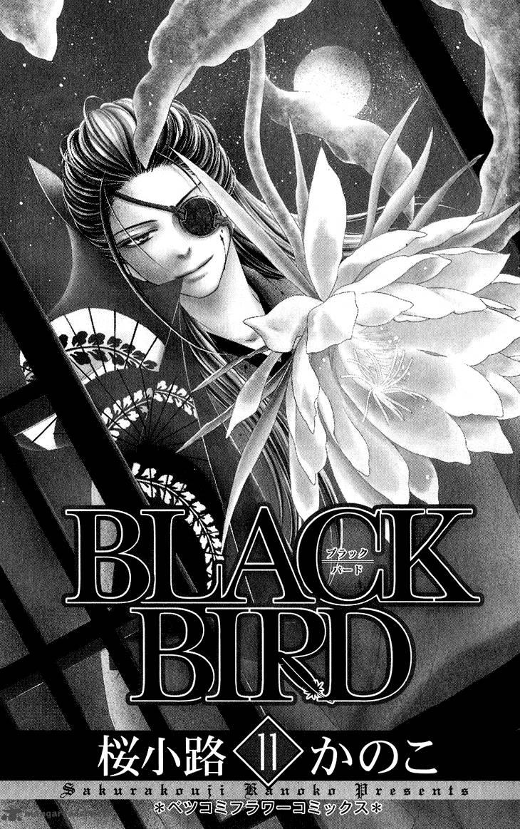 Black Bird 40 6