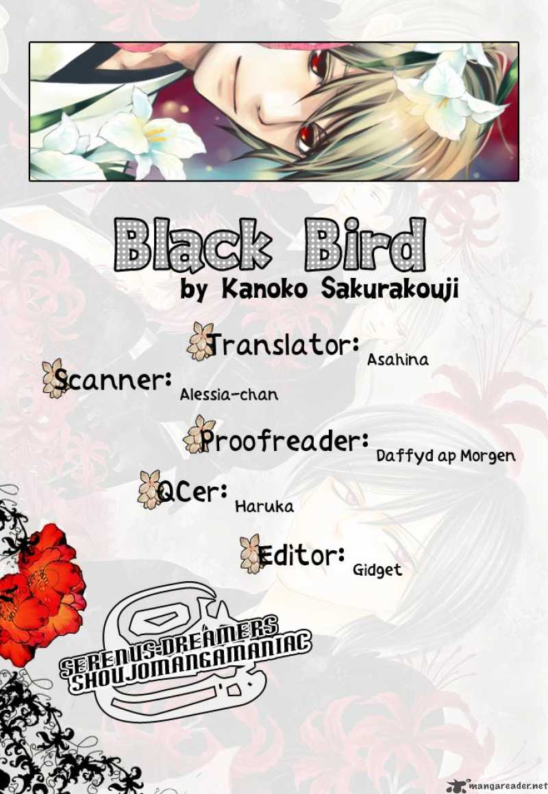 Black Bird 6 1